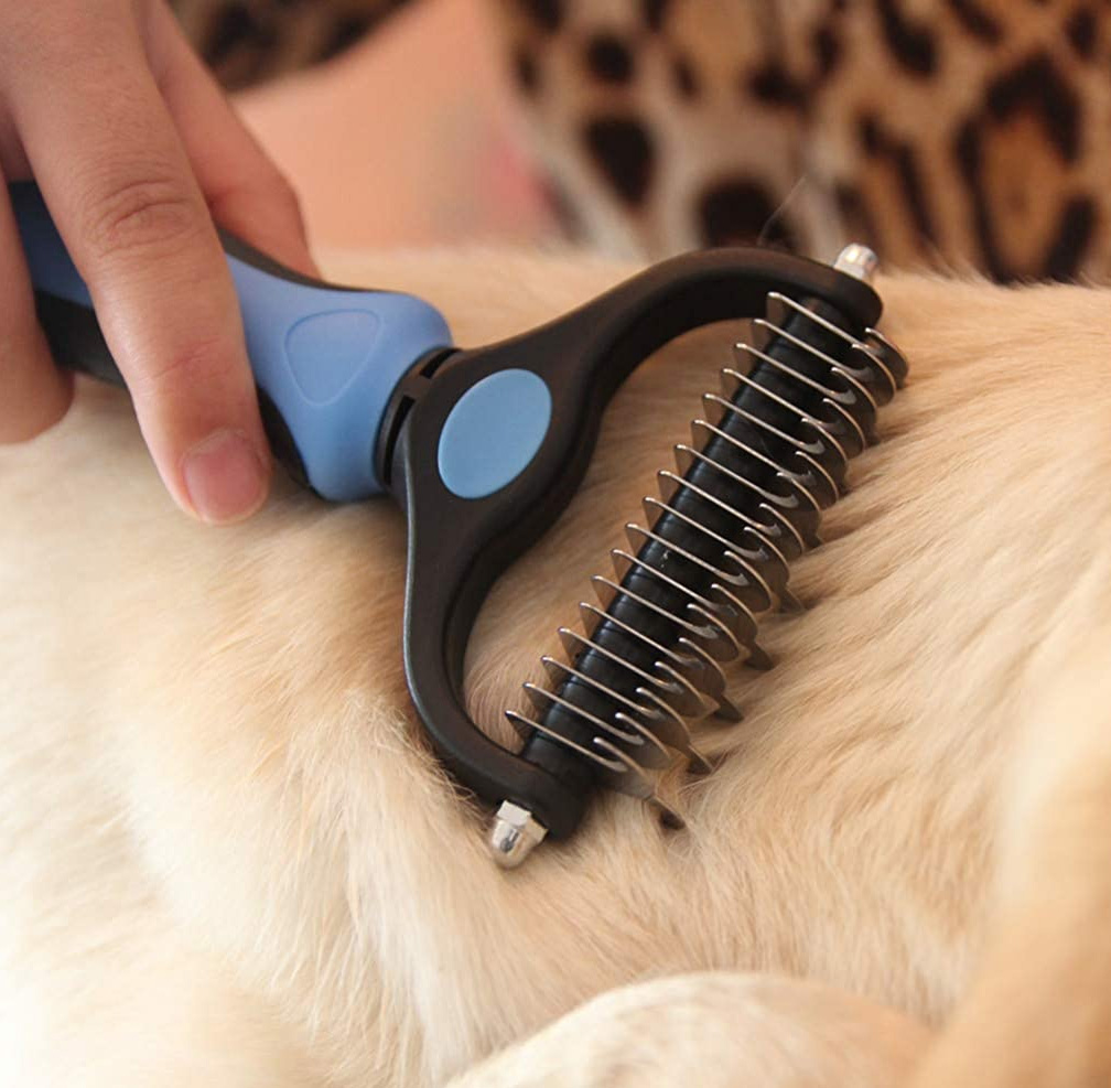 dog grooming